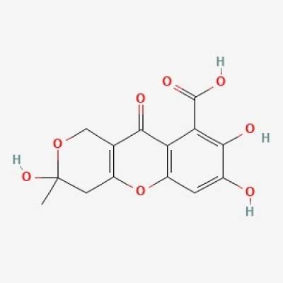 Asam Fulvat