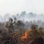 kebakaran_gambut.jpg
