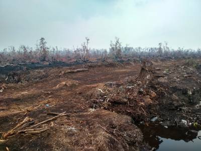 Kebakaran Gambut di Kubu Raya