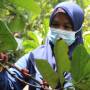 https_kompas.id_wp-content_uploads_2021_09_20210923ido_wanita_tani6_1632364543.jpg