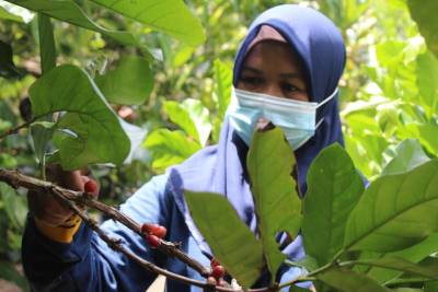https_kompas.id_wp-content_uploads_2021_09_20210923ido_wanita_tani6_1632364543.jpg