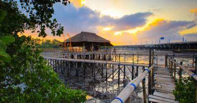 ekowisata-mangrove-wanasari.jpg