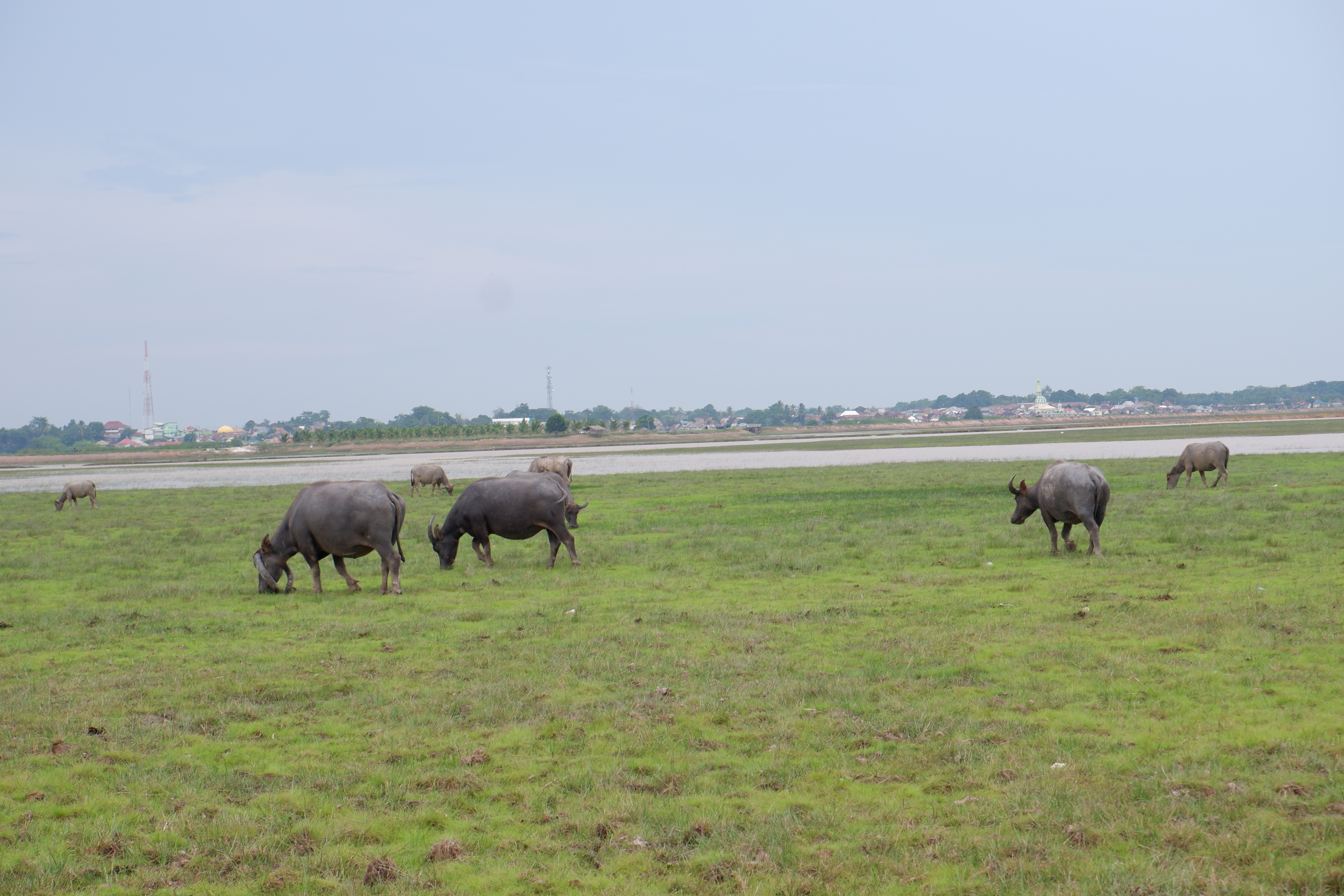 dscf3787.jpg dscf3787.jpg